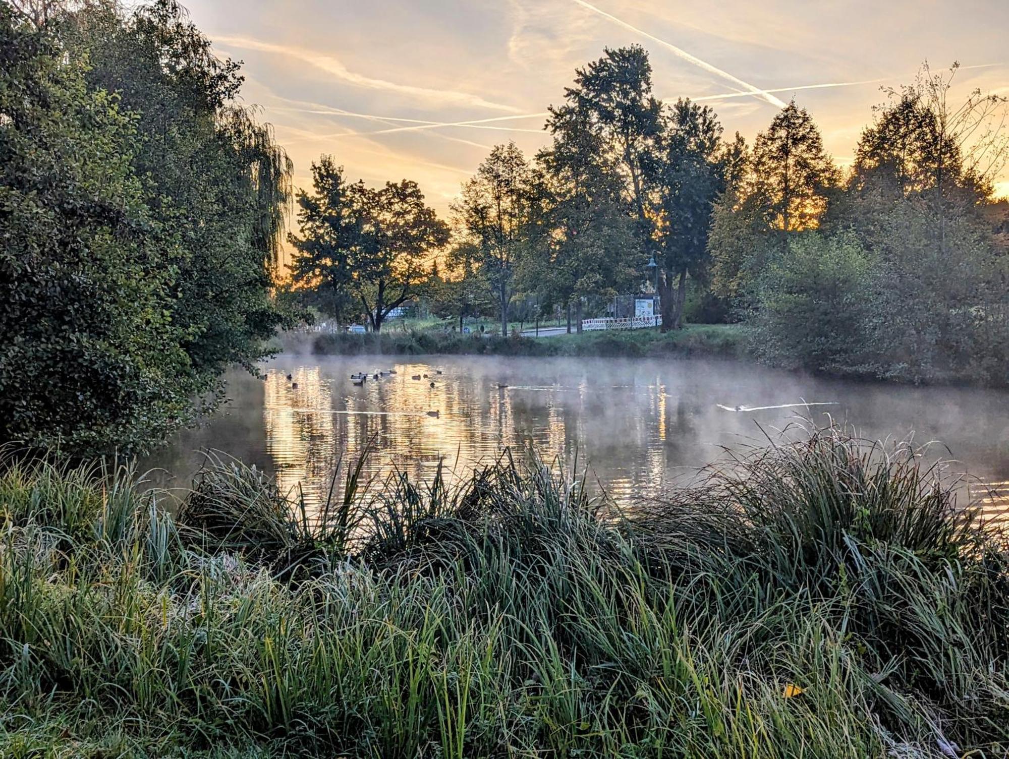 Ferienhaus Am Park Klingenmünster المظهر الخارجي الصورة